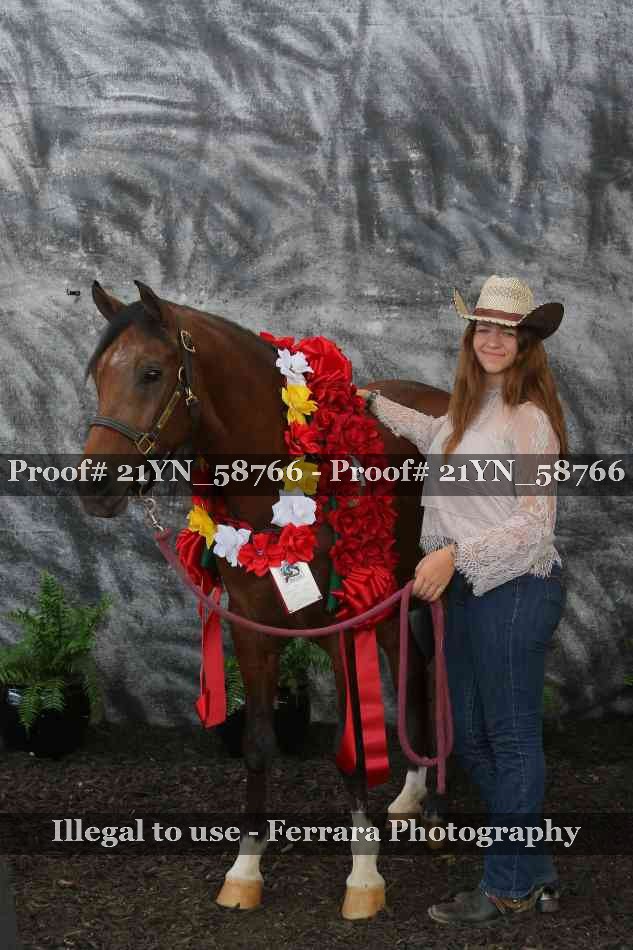 Proof Number 21YN_58766