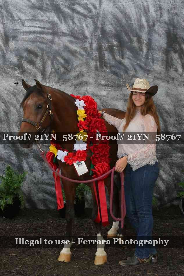 Proof Number 21YN_58767