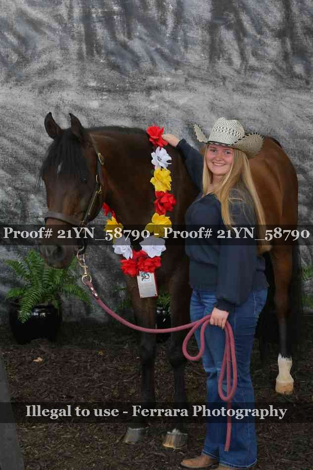 Proof Number 21YN_58790