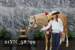 21YN_58799 thumbnail