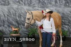 21YN_58800 thumbnail