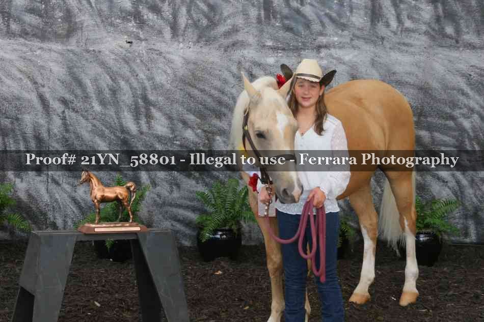 Proof Number 21YN_58801