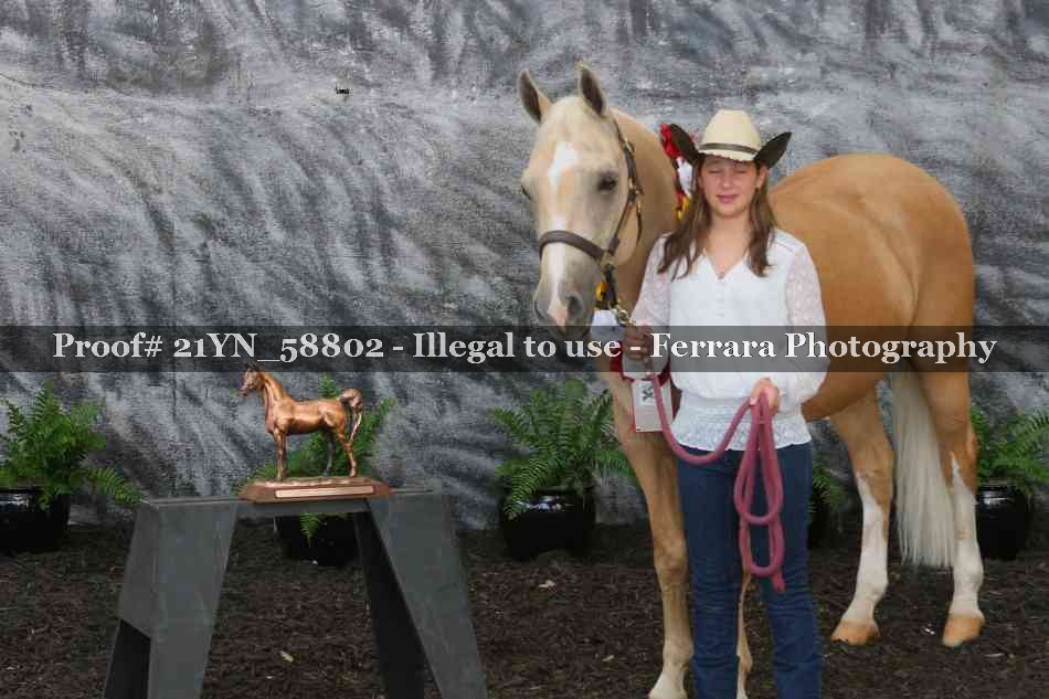 Proof Number 21YN_58802
