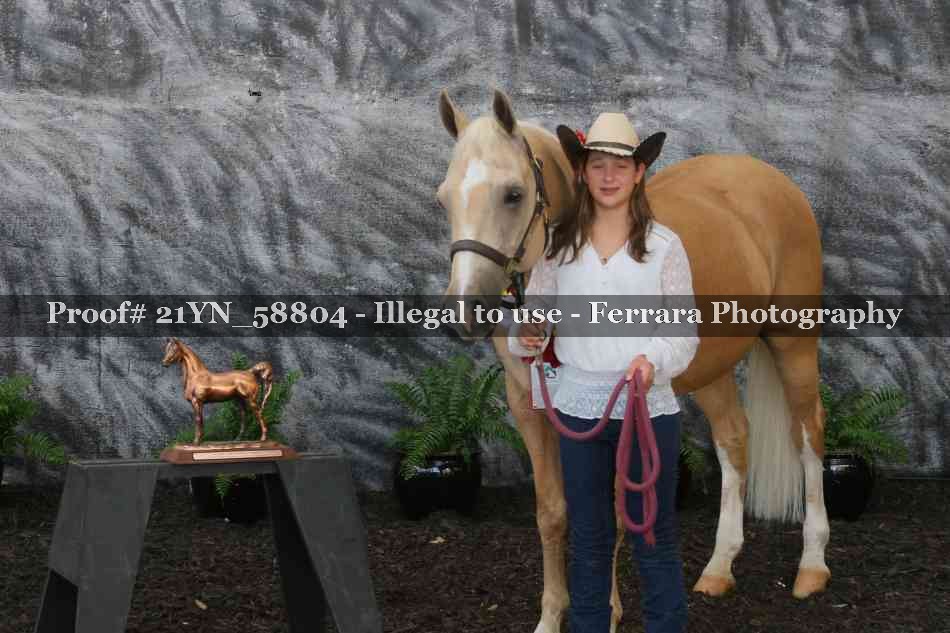 Proof Number 21YN_58804