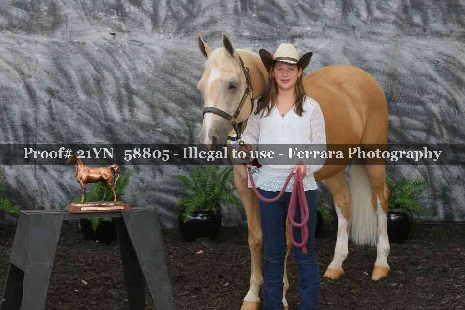 Proof Number 21YN_58805