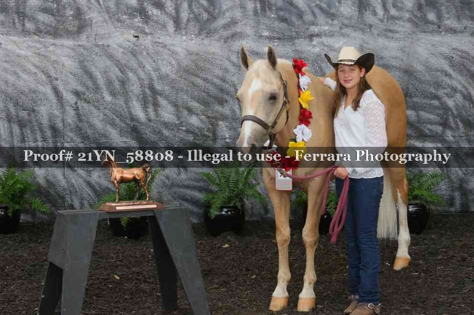 Proof Number 21YN_58808