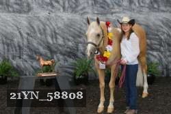 21YN_58808 thumbnail