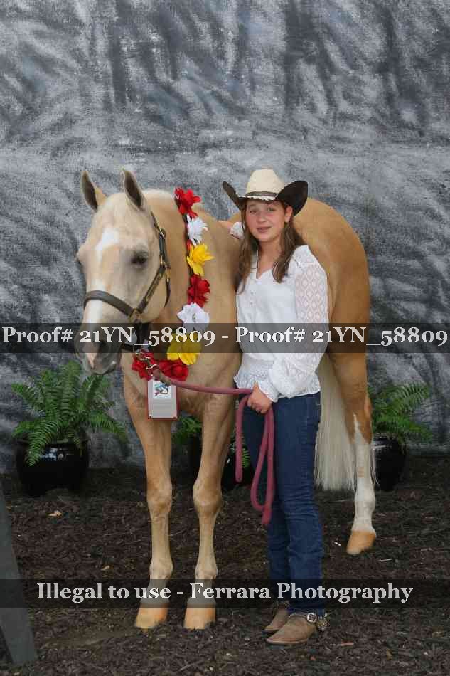Proof Number 21YN_58809