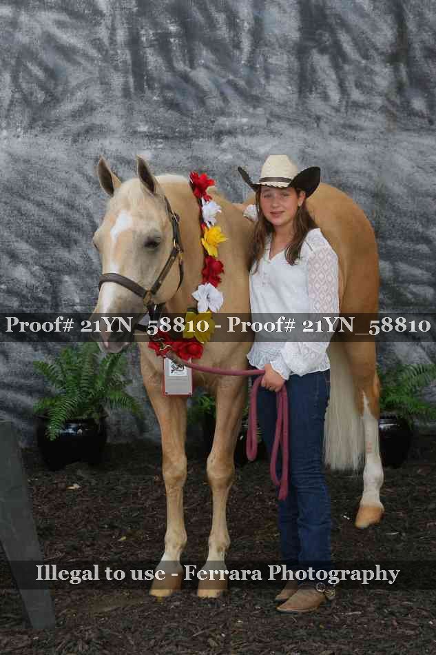 Proof Number 21YN_58810