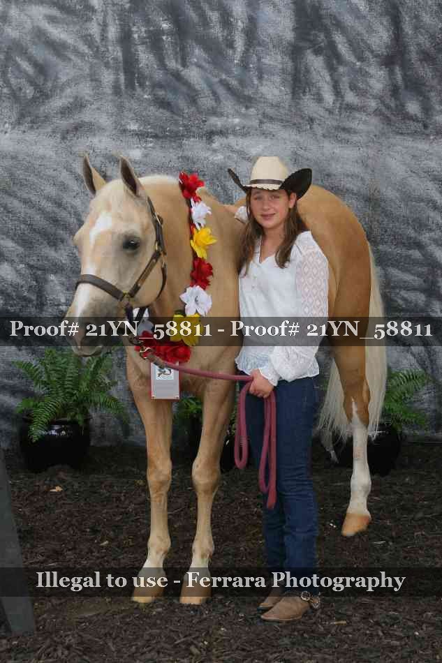 Proof Number 21YN_58811