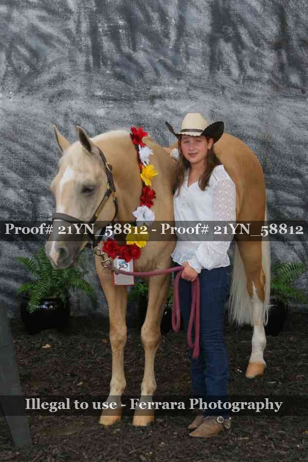 Proof Number 21YN_58812