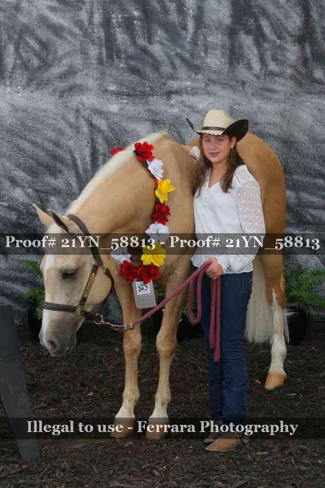 Proof Number 21YN_58813