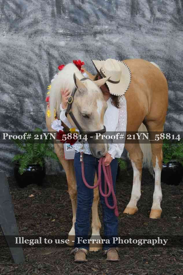 Proof Number 21YN_58814
