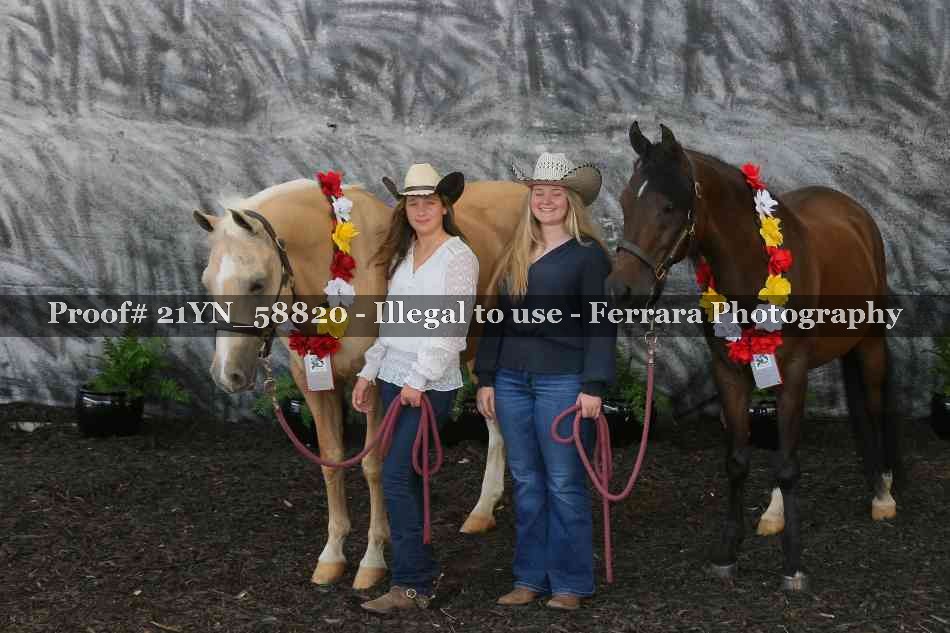 Proof Number 21YN_58820