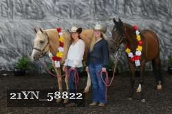 21YN_58822 thumbnail