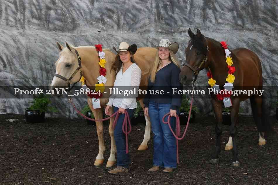 Proof Number 21YN_58824