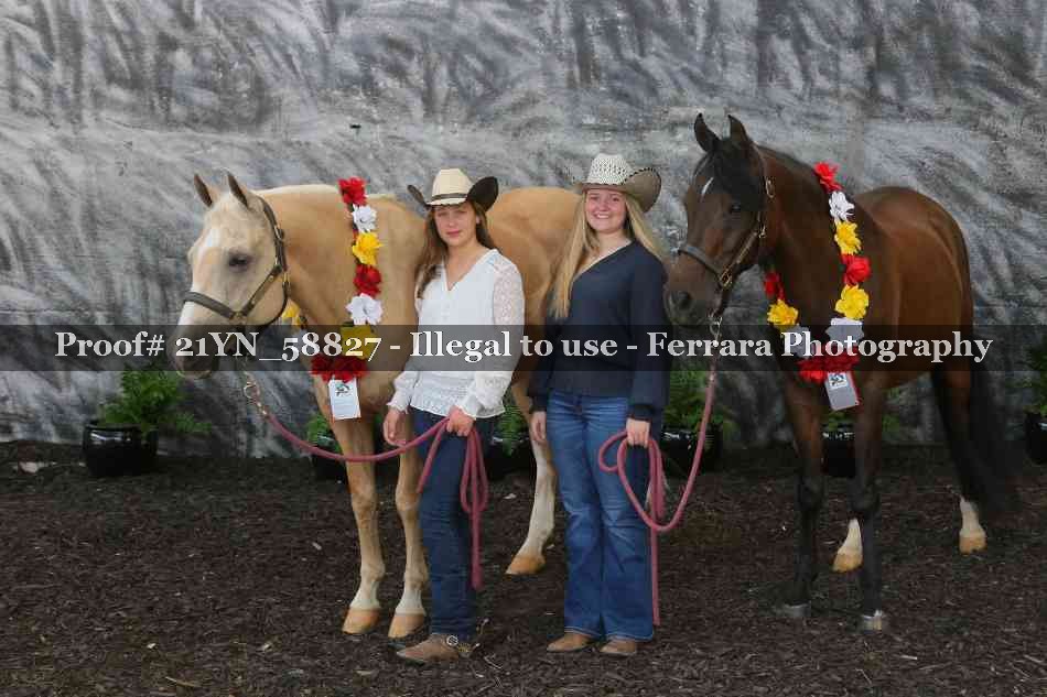 Proof Number 21YN_58827