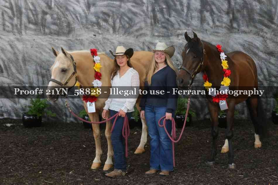 Proof Number 21YN_58828
