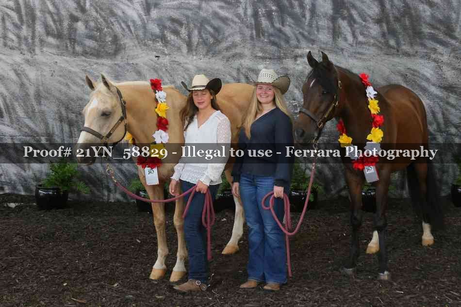 Proof Number 21YN_58829