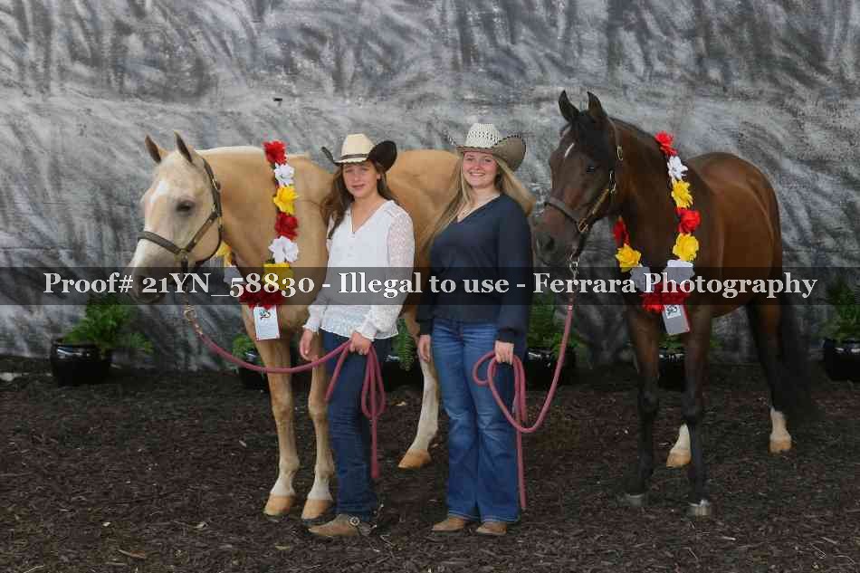 Proof Number 21YN_58830