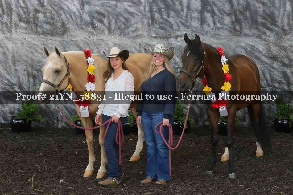 Proof Number 21YN_58831