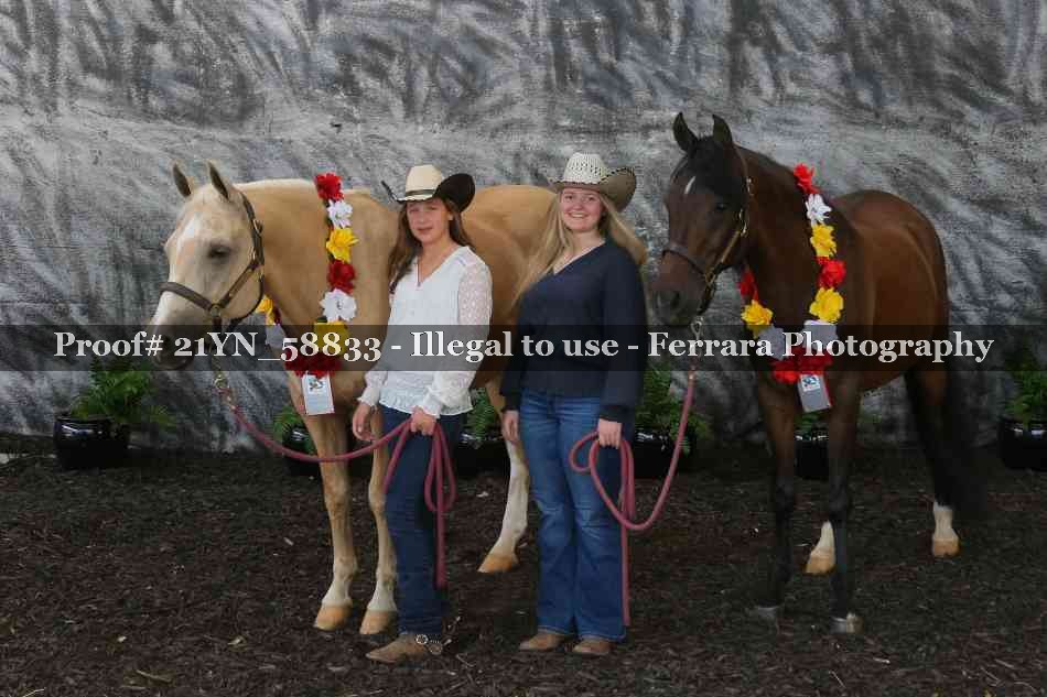 Proof Number 21YN_58833