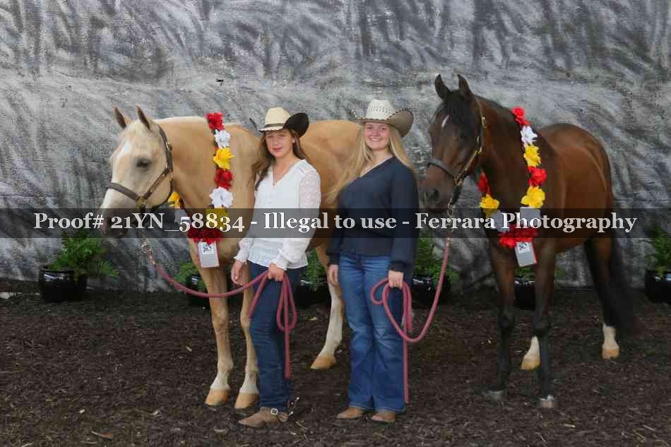 Proof Number 21YN_58834