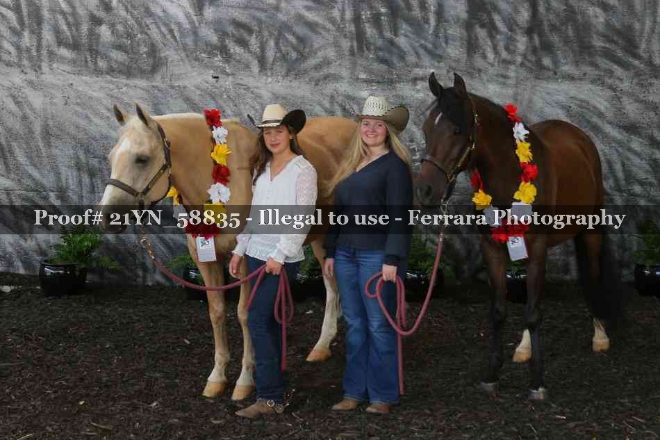 Proof Number 21YN_58835