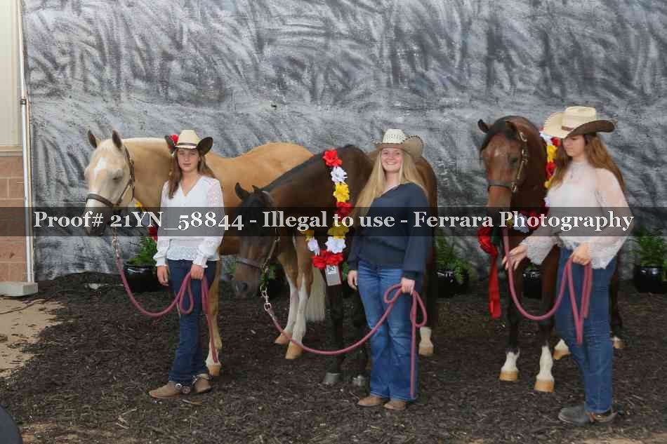 Proof Number 21YN_58844