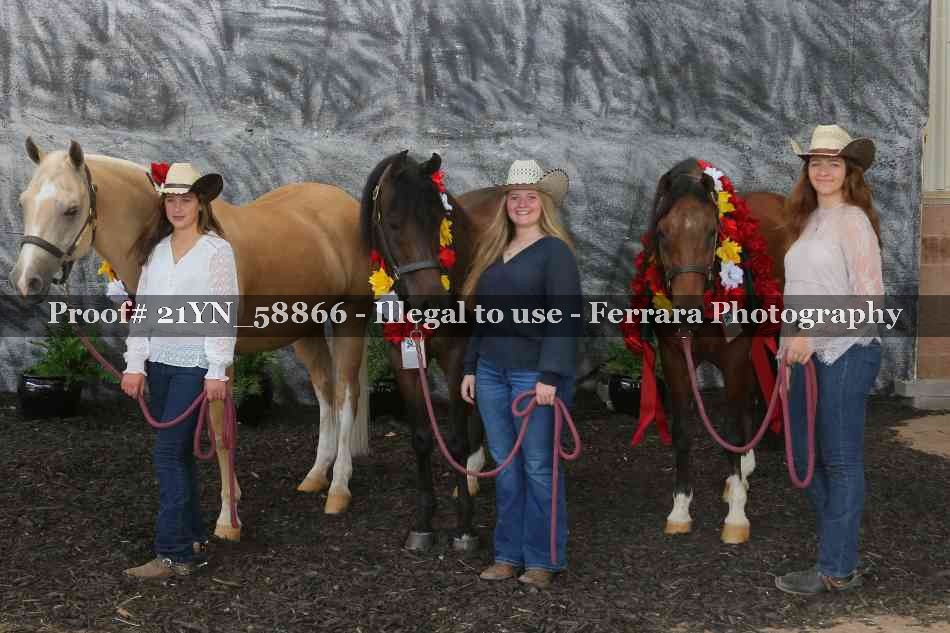 Proof Number 21YN_58866
