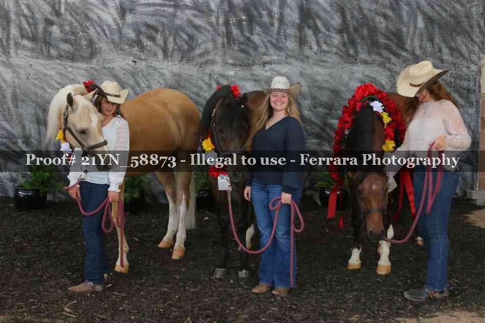 Proof Number 21YN_58873