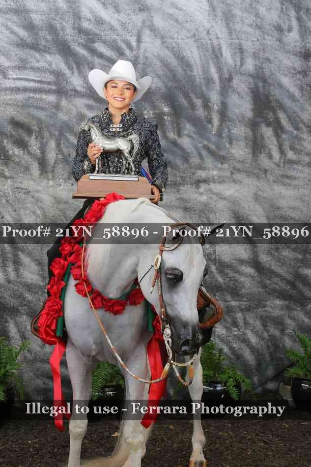 Proof Number 21YN_58896