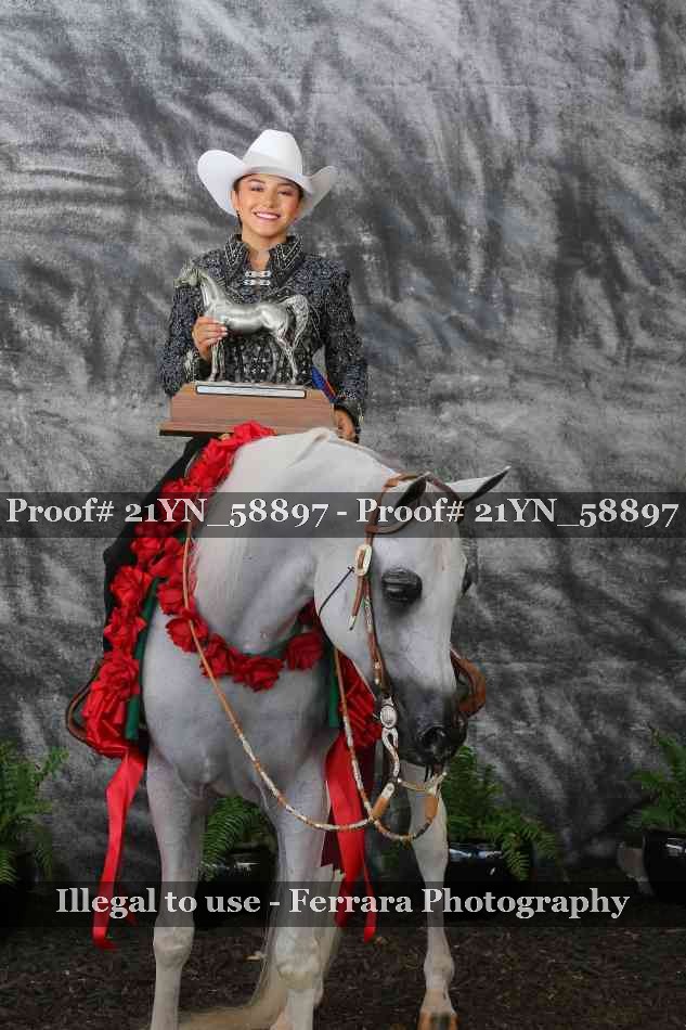 Proof Number 21YN_58897