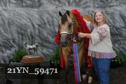 21YN_59471 thumbnail