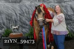 21YN_59473 thumbnail