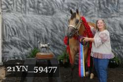 21YN_59477 thumbnail