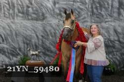 21YN_59480 thumbnail