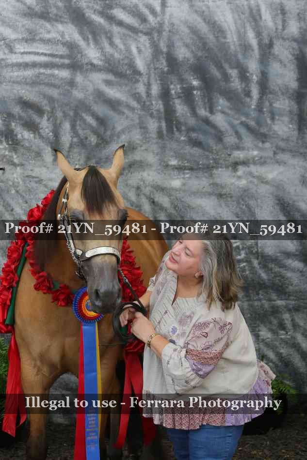 Proof Number 21YN_59481