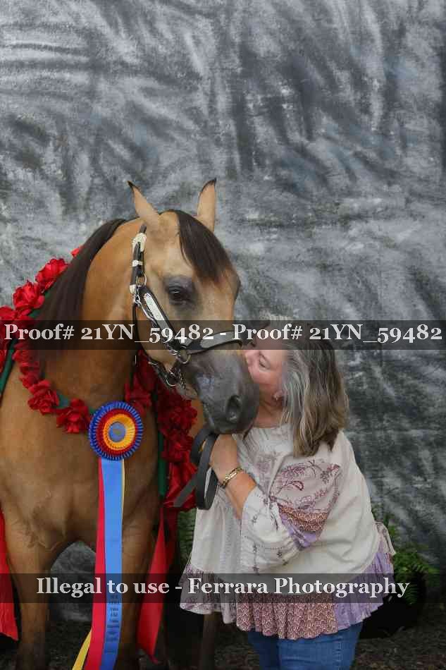 Proof Number 21YN_59482