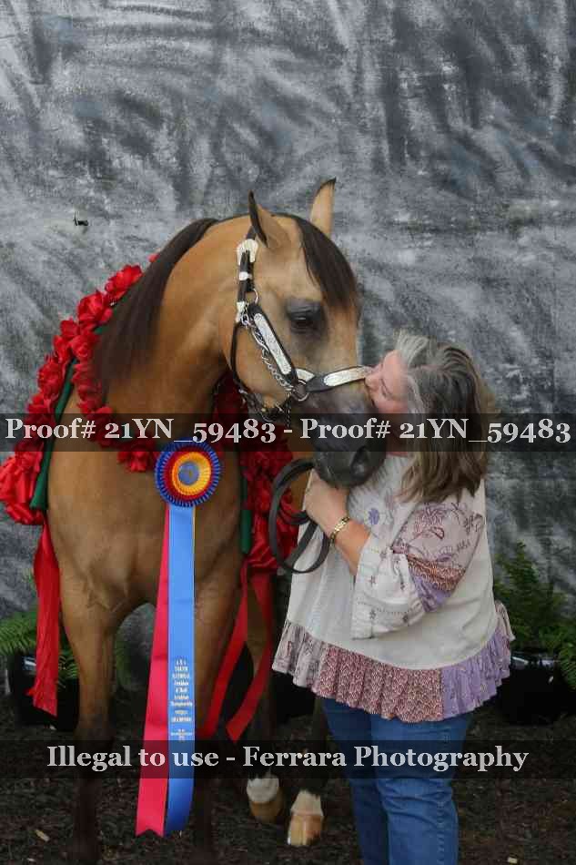 Proof Number 21YN_59483