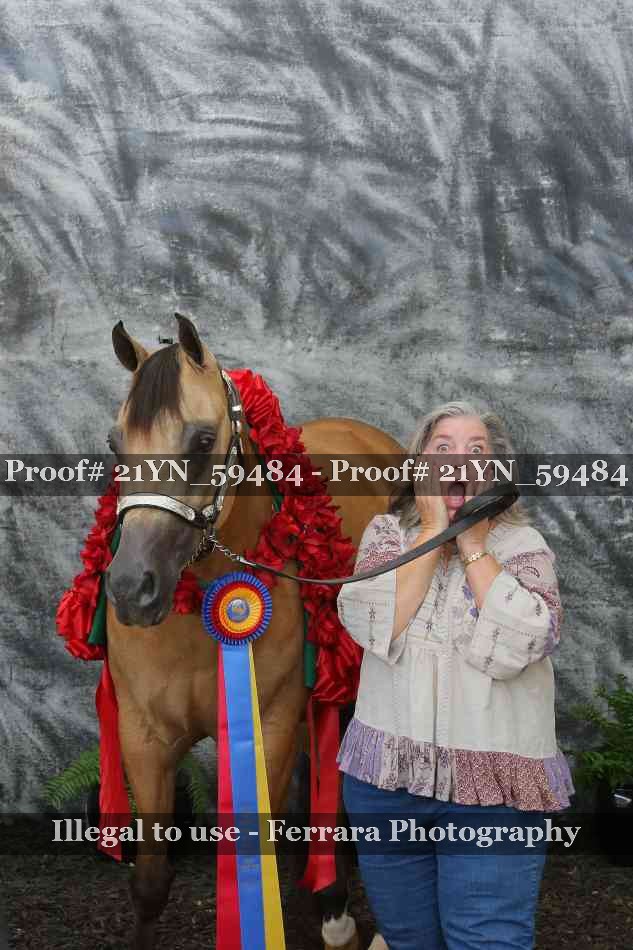Proof Number 21YN_59484