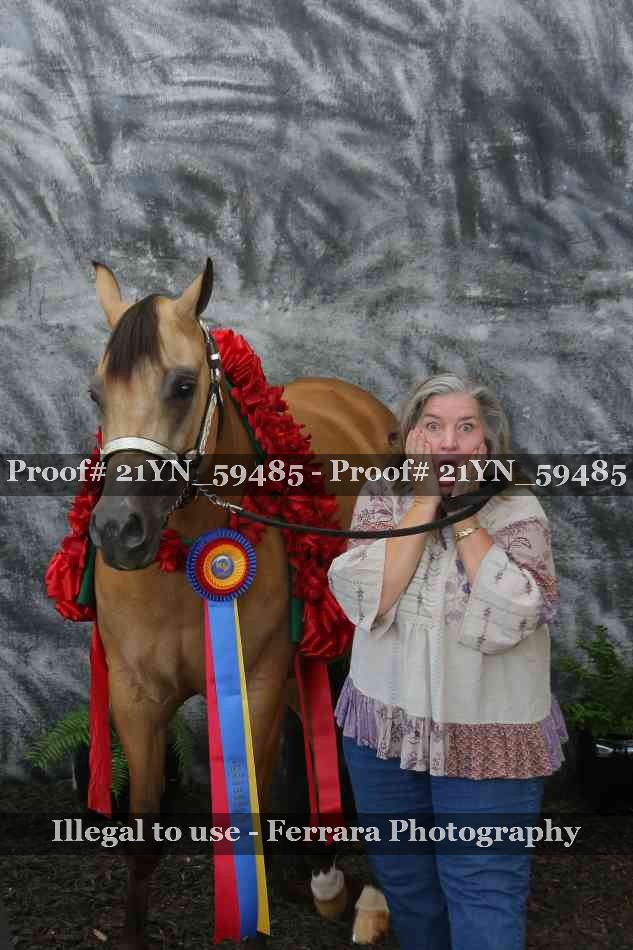Proof Number 21YN_59485