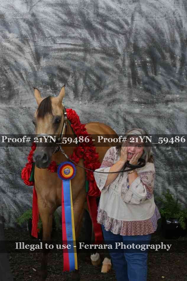 Proof Number 21YN_59486