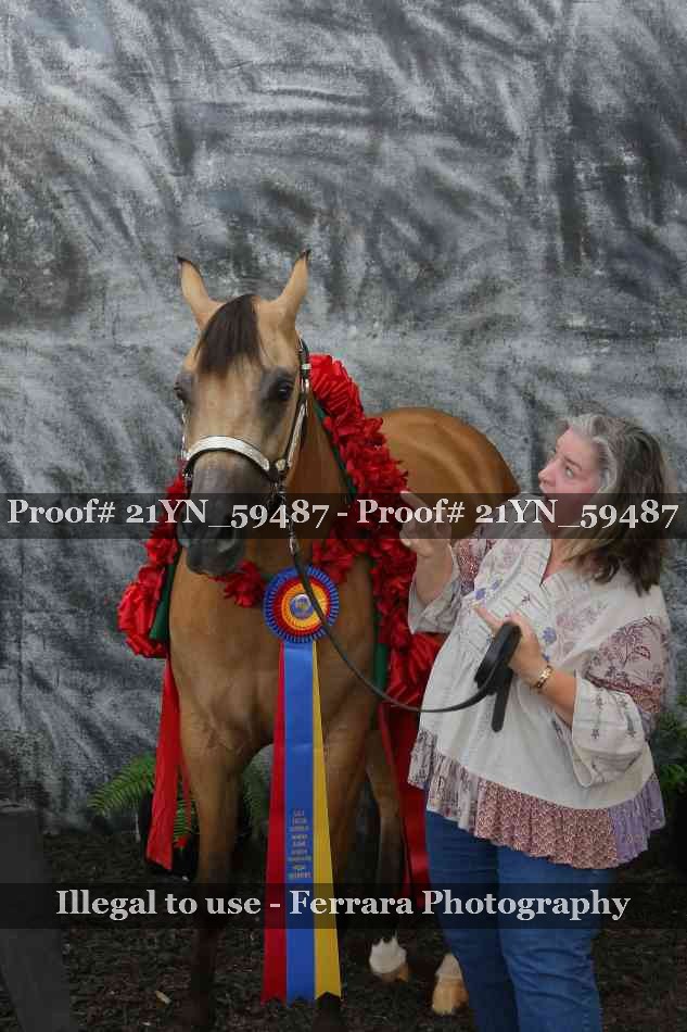 Proof Number 21YN_59487