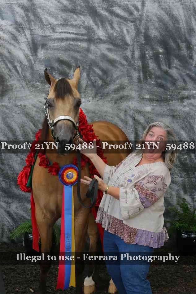 Proof Number 21YN_59488