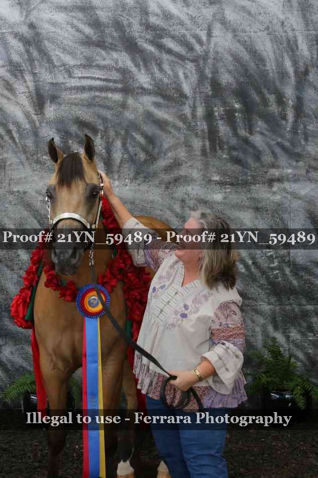 Proof Number 21YN_59489