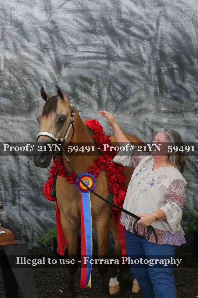Proof Number 21YN_59491