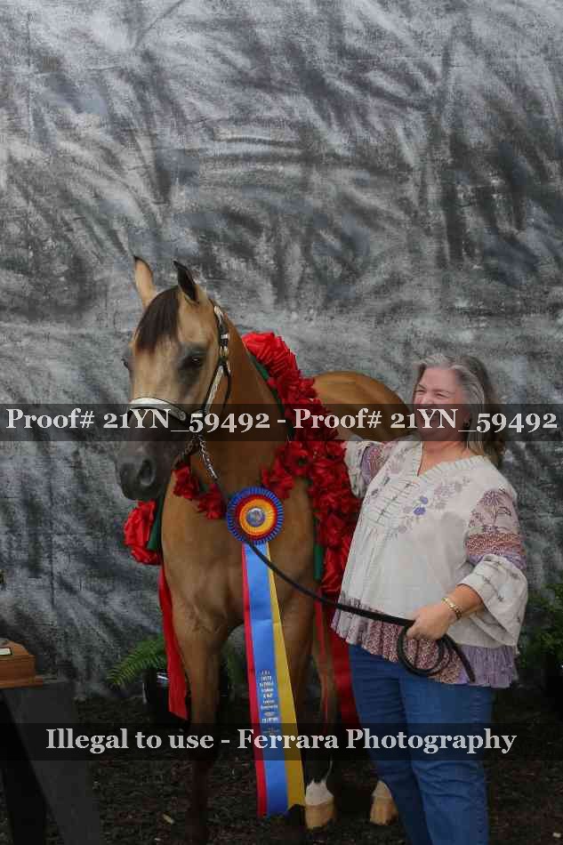 Proof Number 21YN_59492