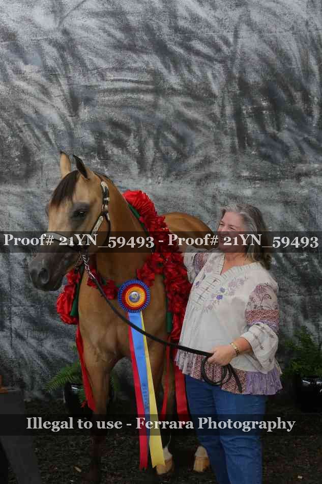 Proof Number 21YN_59493