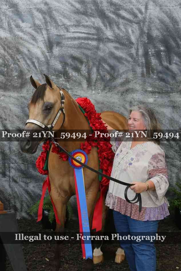 Proof Number 21YN_59494
